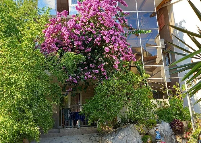 Bugenvilija