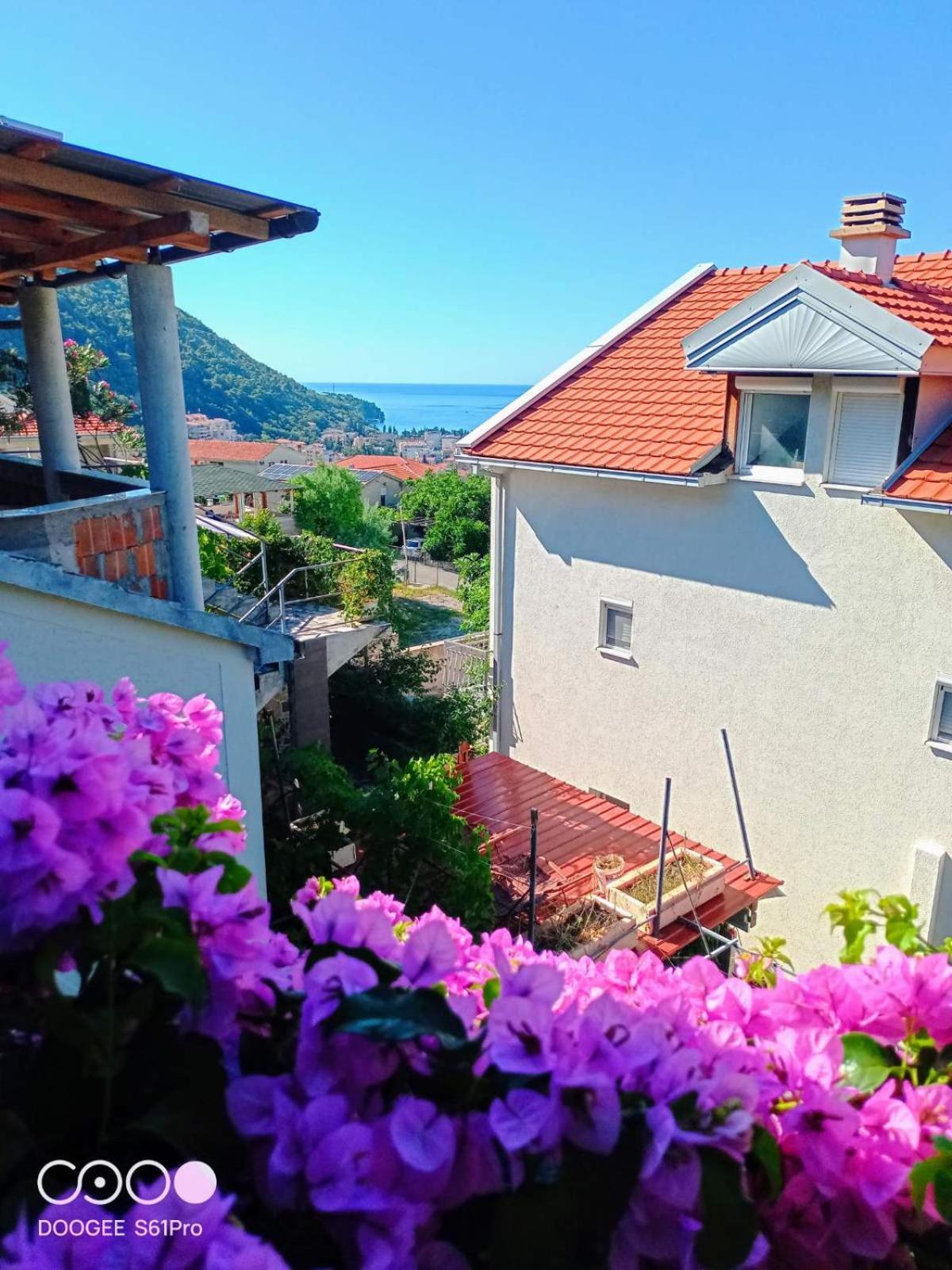 Bugenvilija